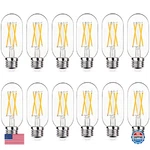 Notoc Dimmable E26 Led Light Bulb 6w,equivalent 60w,e26 Tubular Bulb,antiq. Fixed Price $60.09.