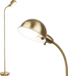 Lalisu Dimmable Floor Lamp With Flexible Gooseneck And Rotatable Shade, Gold. Fixed Price $49.26.