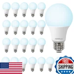 Degnju Led Light Bulbs 60w Equivalent, A19 Bulb Daylight 5000k 800lm 8 Wat. Fixed Price $62.93.