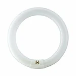 Lot Of 10 - Philips 391169 Fc8t9/ Cool White Plus 8" Circline Fluorescent Lamp. Fixed Price $59.99.