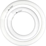 Fc8t9/cw 22w And Fc12t9/cw 32w Cool White Round Fluorescent Light Bulb Set 8 .... Fixed Price $37.50.