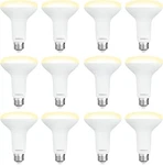 Degnju 12 Pack Br30 Led Recessed Light Bulb, Dimmable Indoor Flood Bulbs C. Fixed Price $29.99.
